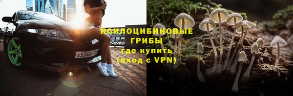 крисы Армянск