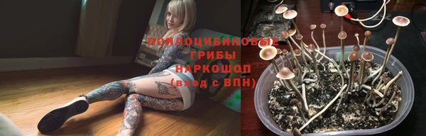 бошки Тында