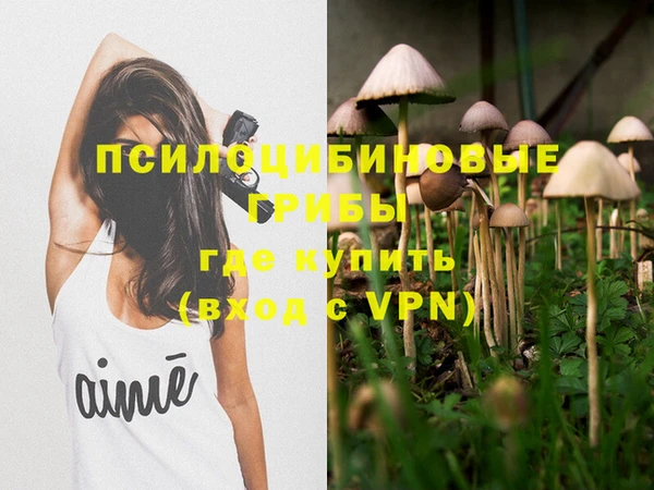 крисы Армянск