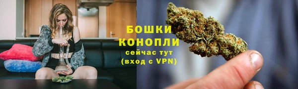 бошки Тында