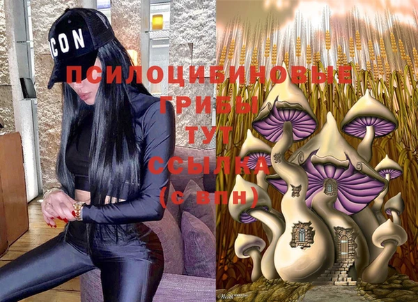 мдпв Арсеньев