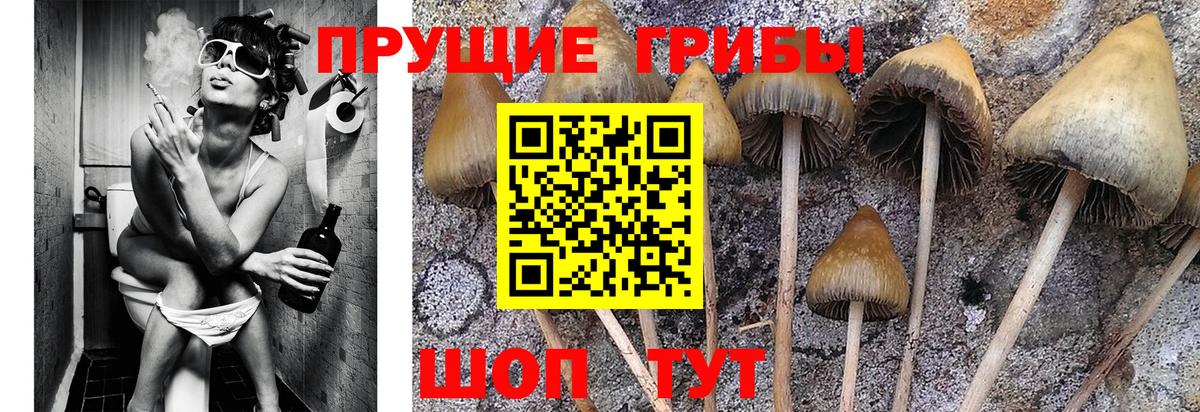 Галлюциногенные грибы мухоморы  Галлюциногенные грибы прущие грибы  Вход с VPN  Пенза 