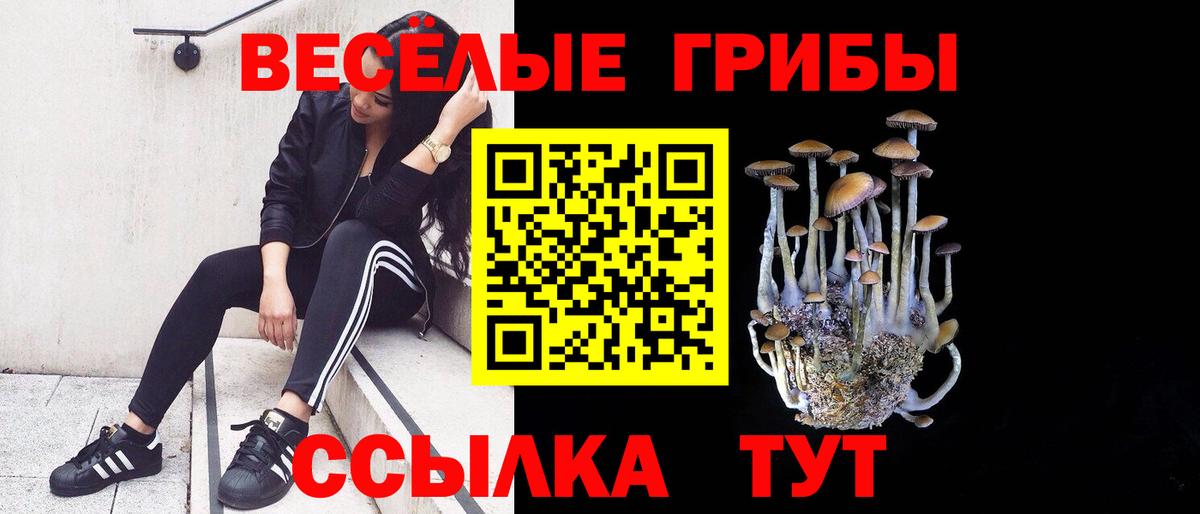 Псилоцибиновые грибы MAGIC MUSHROOMS Пенза